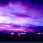 Purple Productions!