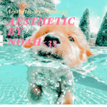Aesthetic~by~Noah