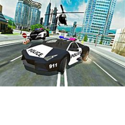 (NEW) Police Race Simulator