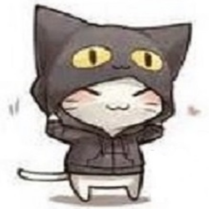 Kitty w/ hoodie up Roblox decal