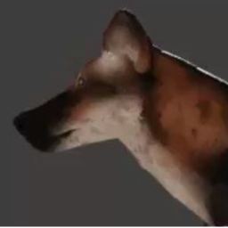 ♤