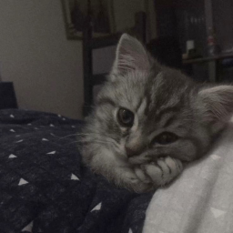 ♡