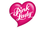 Pinky Pie's group