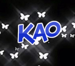KOA (KILL ALL OPPS)