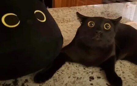 40%