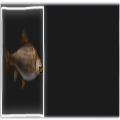 Father fish text box Roblox decal