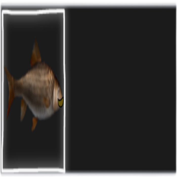 Father fish text box Roblox decal