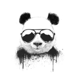 Panda splat