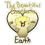 The Beautiful Cheetahs Of Earth :3