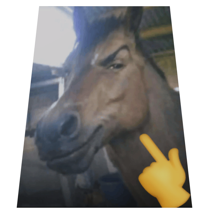 Mewing Horse Meme Cape