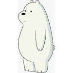The Polar Force