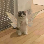 *S0FT*