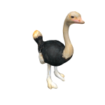 Ostrich On Head