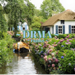 DRMA