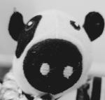Mr Cow LOL