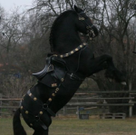 ~Star Wing Academy~