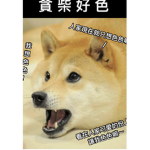 海洋保護區-鯊魚帝國