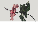 Chill vibez <3