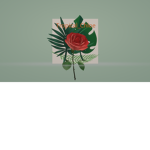 Tropical _Chloe's YT Channel Fan Group!!