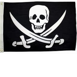 The Pirate Game!!