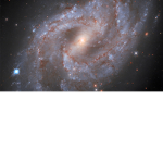 Nebula's Stars