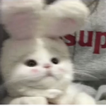 Sleepy_lemon