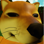 wat the doge doin