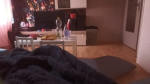 Cat YouTube Cat