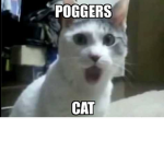 Portercharlie