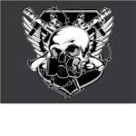 E.F.S (Elite Force Squad