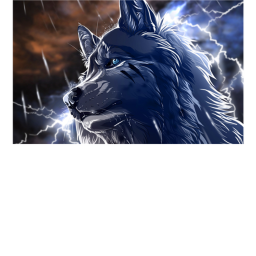 Survival Of Wolves |RP|