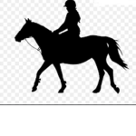 The WHS Equestrian Team