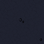 The_cult_of_the_Veil
