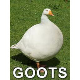 Duck's RNG