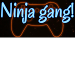 NINJAVISION