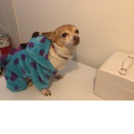 TuNe