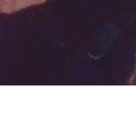 cancat