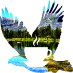 Falcon Coffee