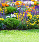 Grow a garden farming server