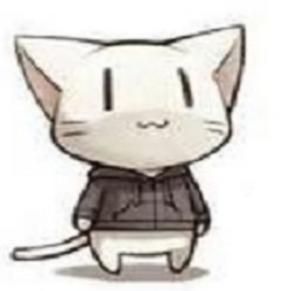 Kitty w/ hoodie Roblox decal