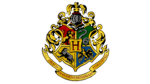 DUMBLEDORE'S ARMY (magic training)