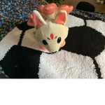 Cats and fox’s