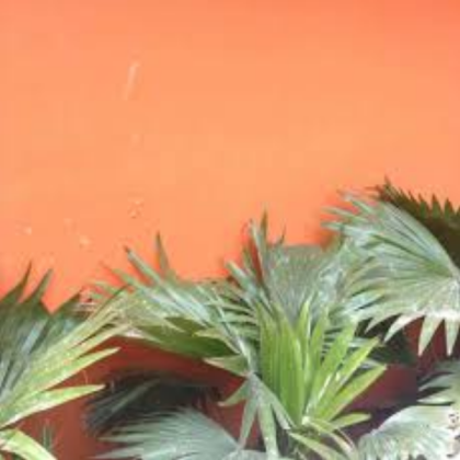 orange aesthetic Roblox decal
