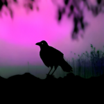 The Crow Family Household