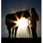 The Horse People of Roblox