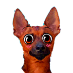 Rruuuudddii
