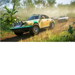 Drive to Survive