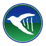 JET EIRE Airlines