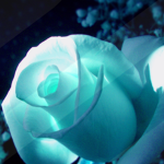 !?~Blue Star~!?