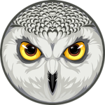 The Owl Squad.